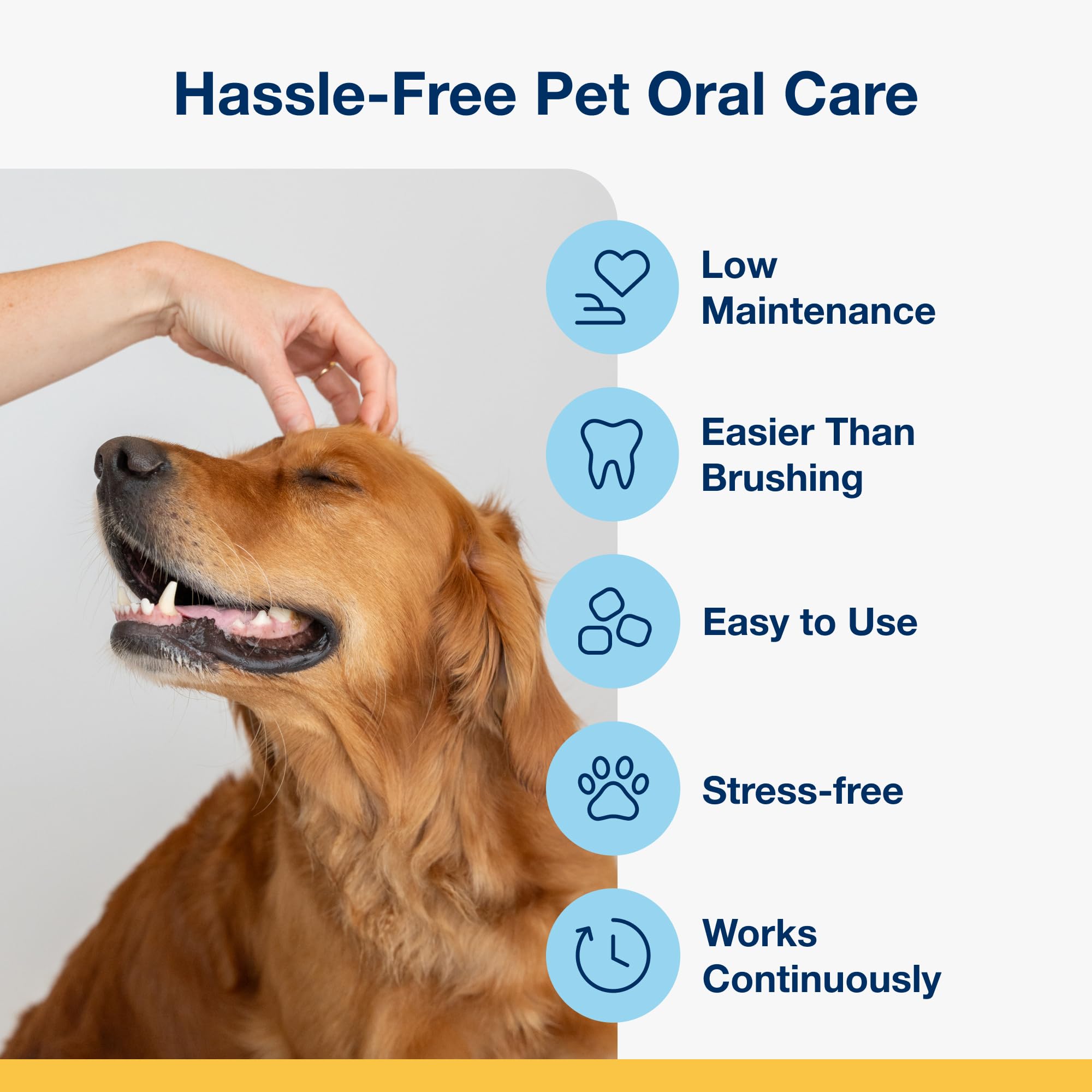 ProDen PlaqueOff Soft Chews vet-recommendation badge shown.