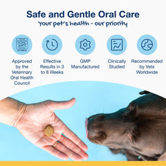 ProDen PlaqueOff Soft Chews teeth and gums focus promotes daily oral health.