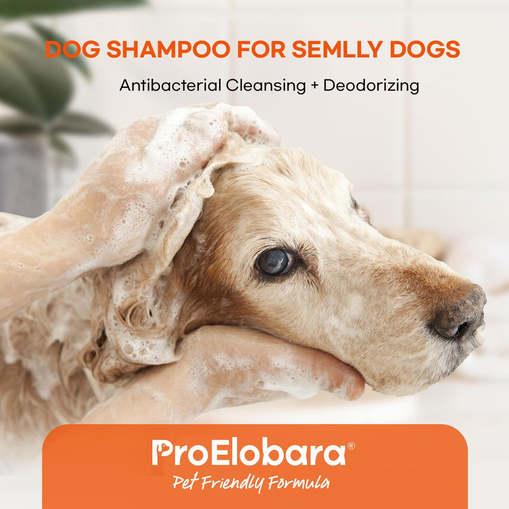 ProElobara 16oz packaging highlights convenient home use size.