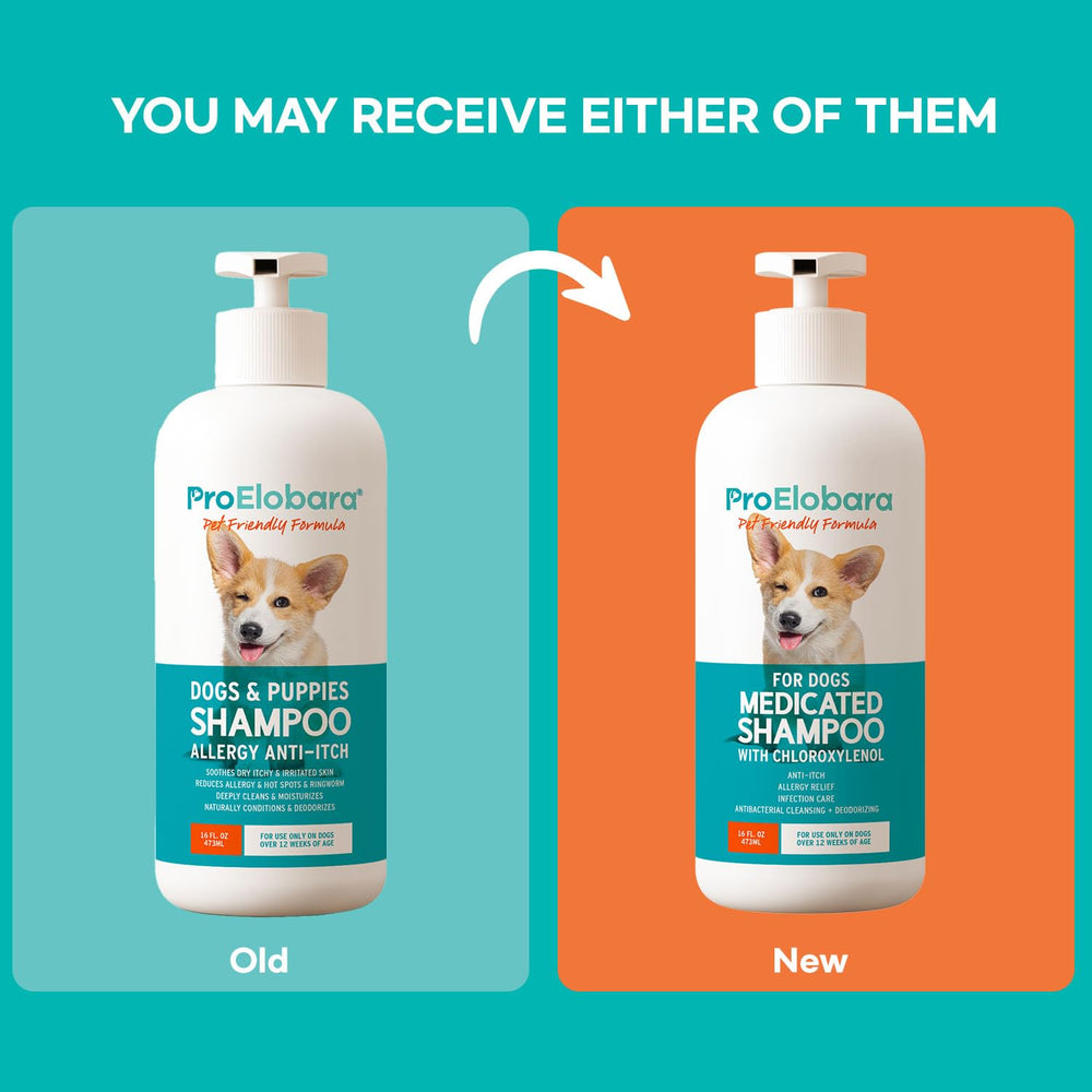 ProElobara antifungal shampoo lather with rich suds for thorough cleansing.