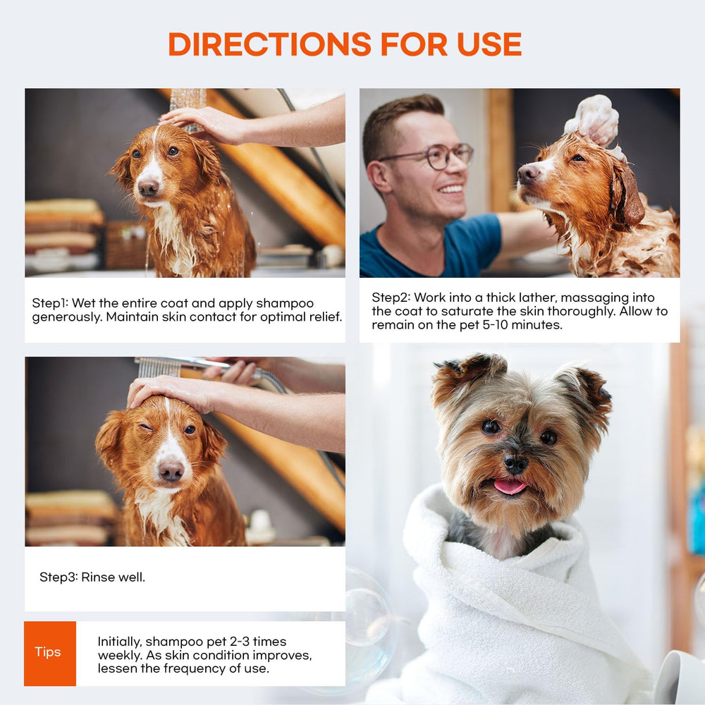 ProElobara coat shine after-wash image shows moisturized, healthy fur.