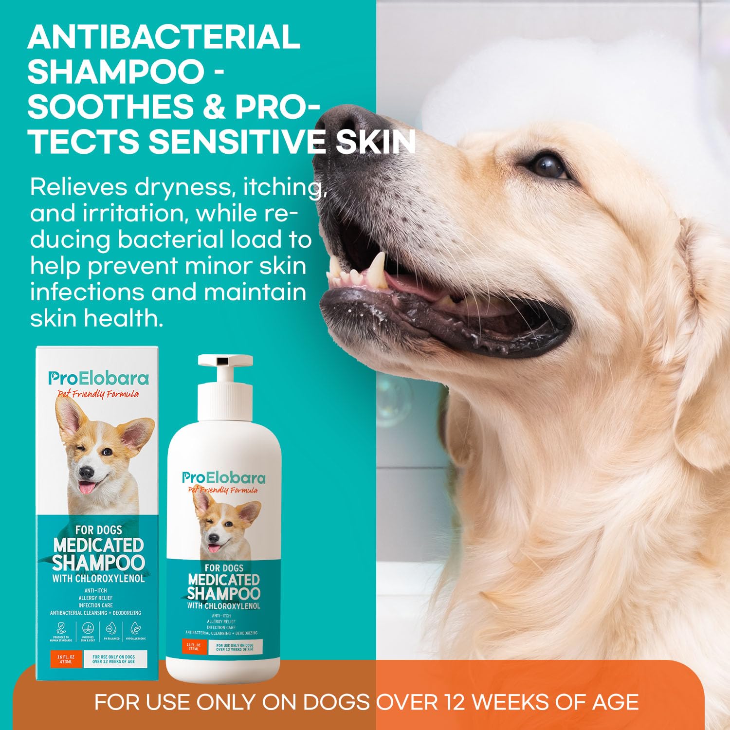 ProElobara dermatitis-targeting formula supports skin health and comfort.