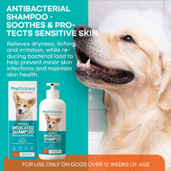 ProElobara dermatitis-targeting formula supports skin health and comfort.