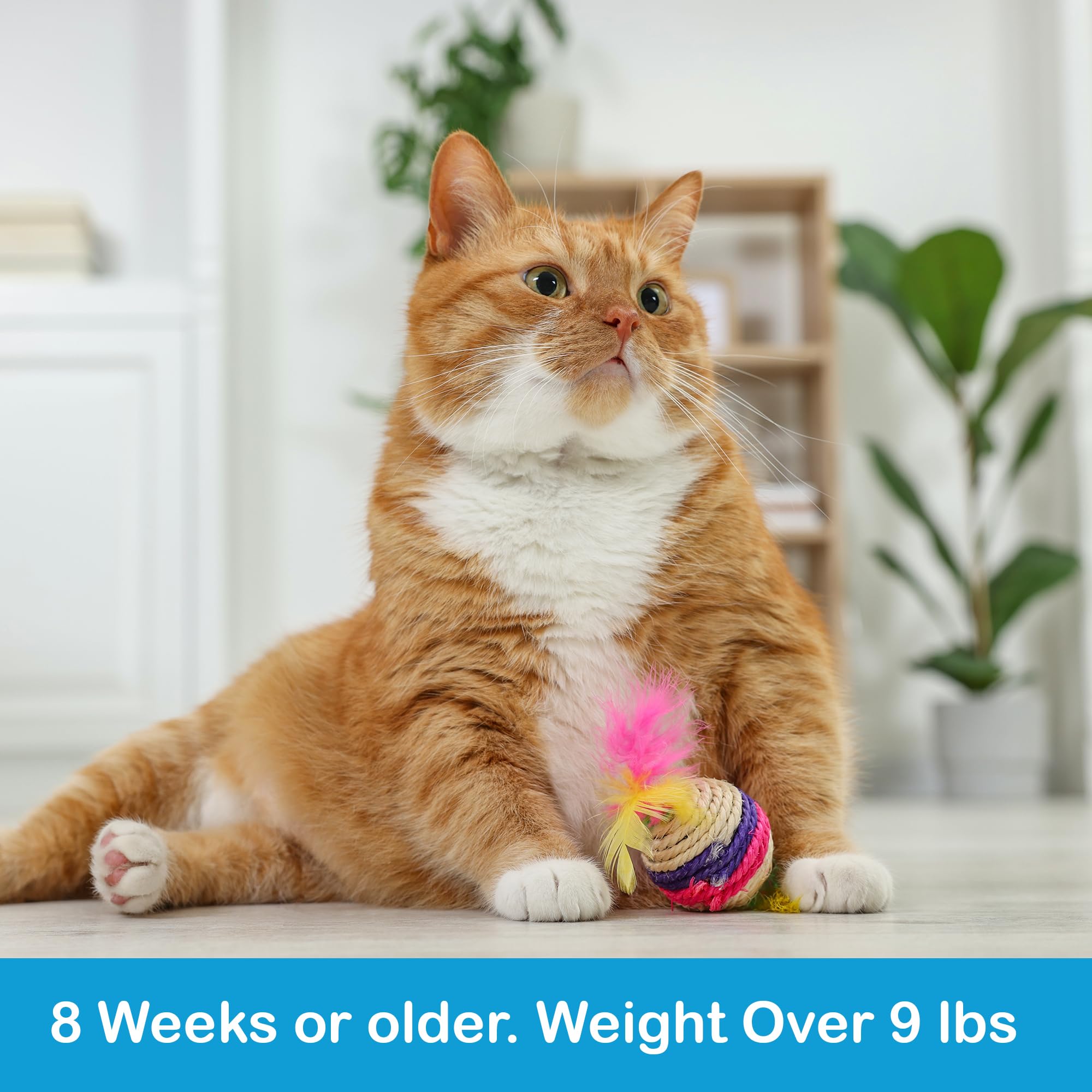 ProElobara safe-for-sensitive-skin formula is gentle on cats.