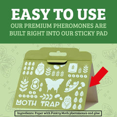 Professor Killamoth pheromone trap close-up highlights non-toxic design for safe home use.