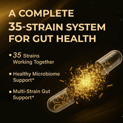 Proriginal Probiotics with prebiotics and enzymes supports digestion and nutrient absorption.
