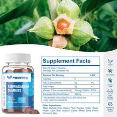 Close-up of ProTKFU Ashwagandha Gummies berry flavor for easy daily use.