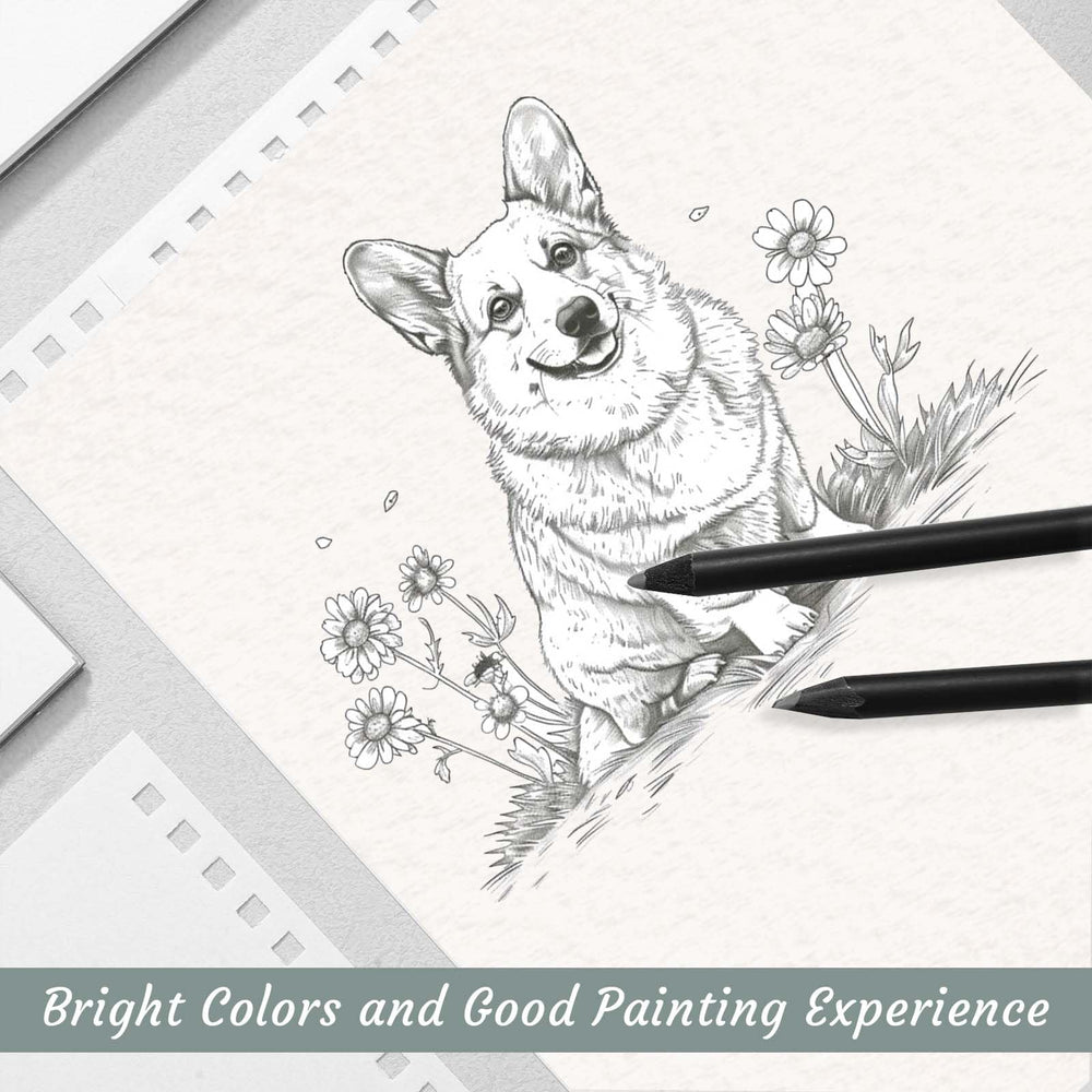 Prudiut outdoor sketching setup with compact sketch books
