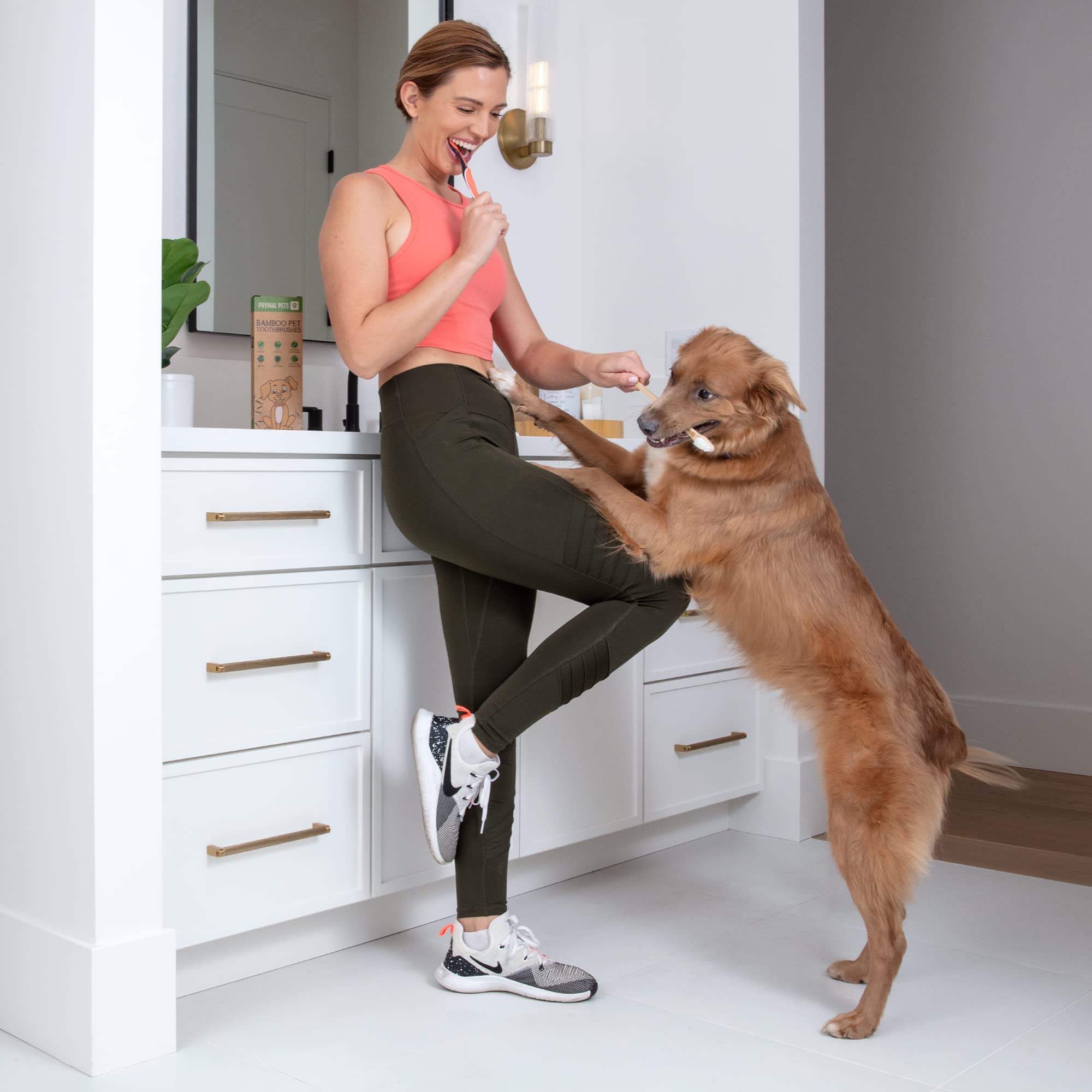 Ensemble Prymal Pets 4 brosses; solution économique pour l'hygiène dentaire.