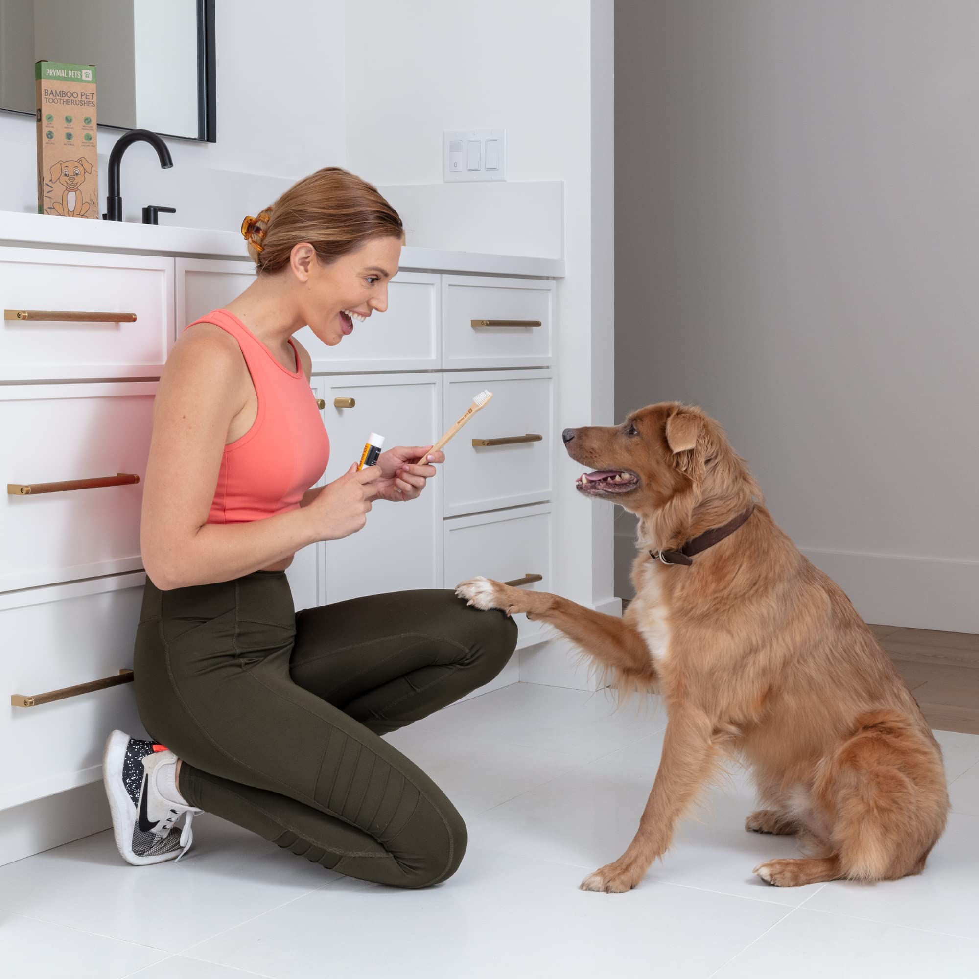Manche en bambou Prymal Pets; outil durable et écologique pour le brossage.