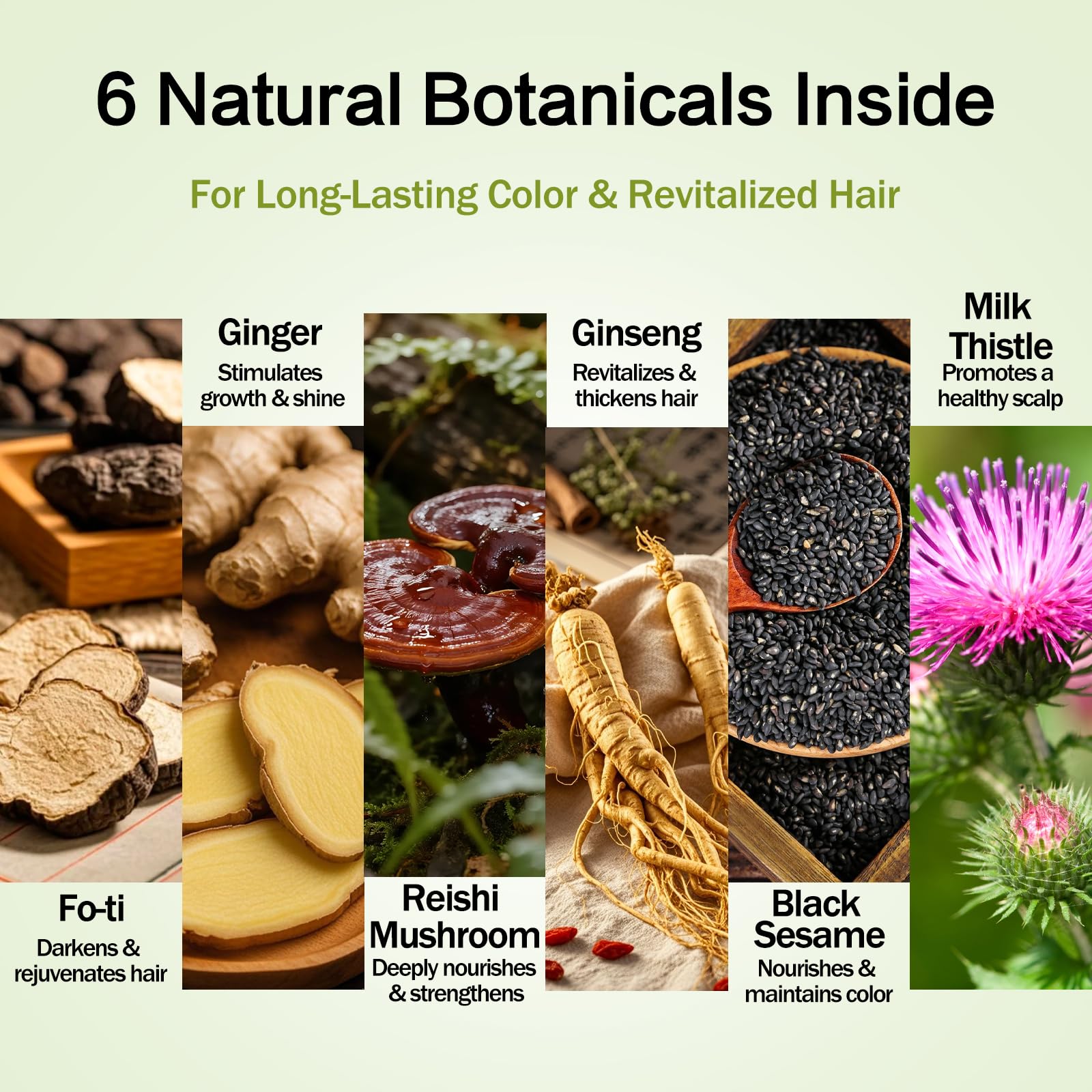 Prypvix six herbal extracts illustrate natural nourishment during color treatment.