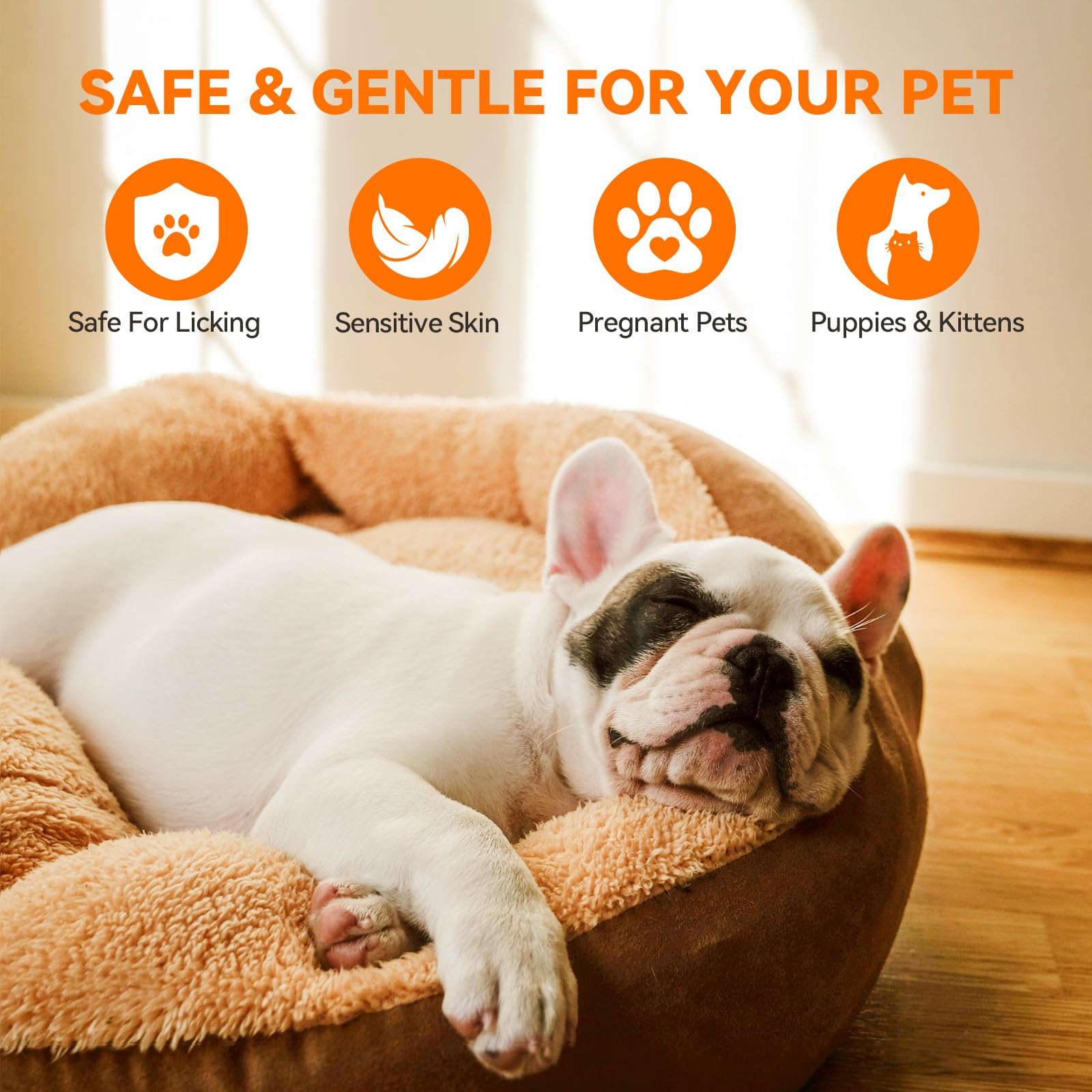 PUAINTA dog and cat skin care context shows versatile use.