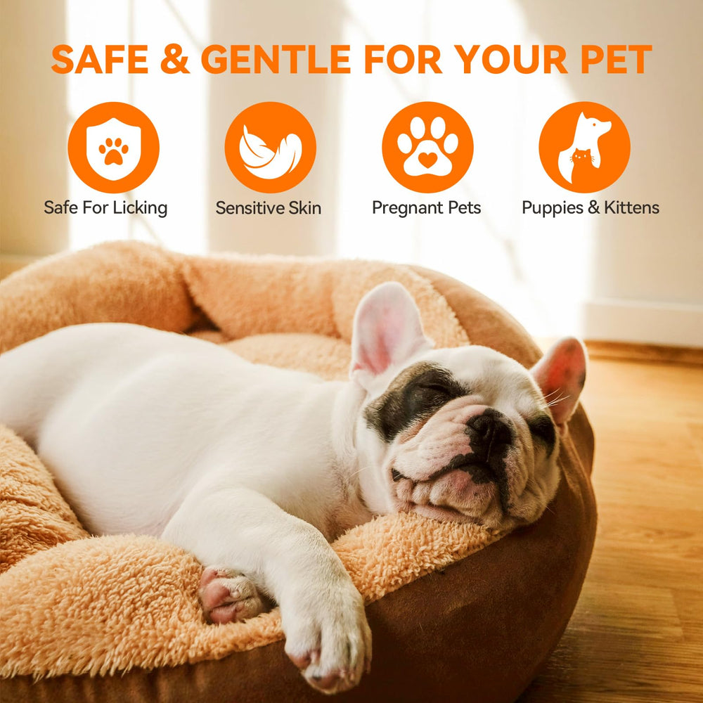 PUAINTA dog and cat skin care context shows versatile use.