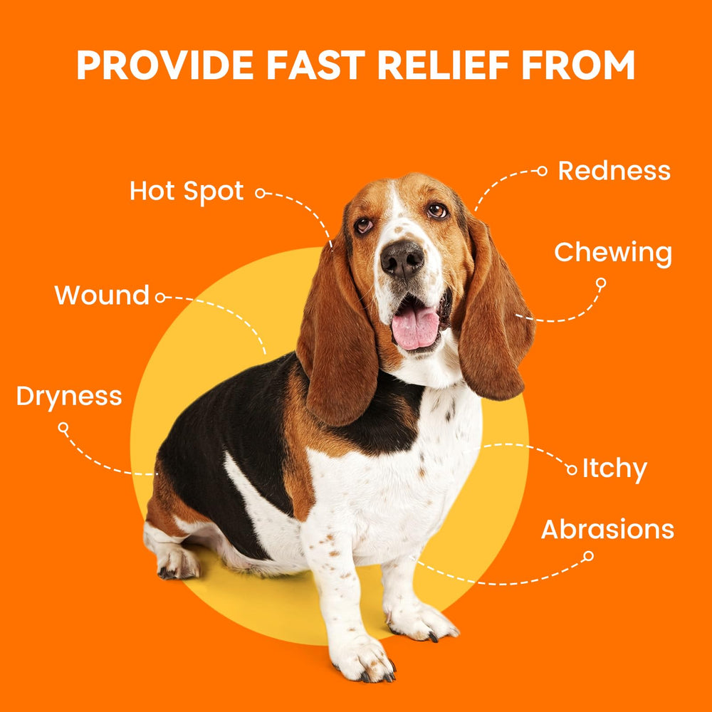 PUAINTA spray applied to a pet emphasizes daily use.