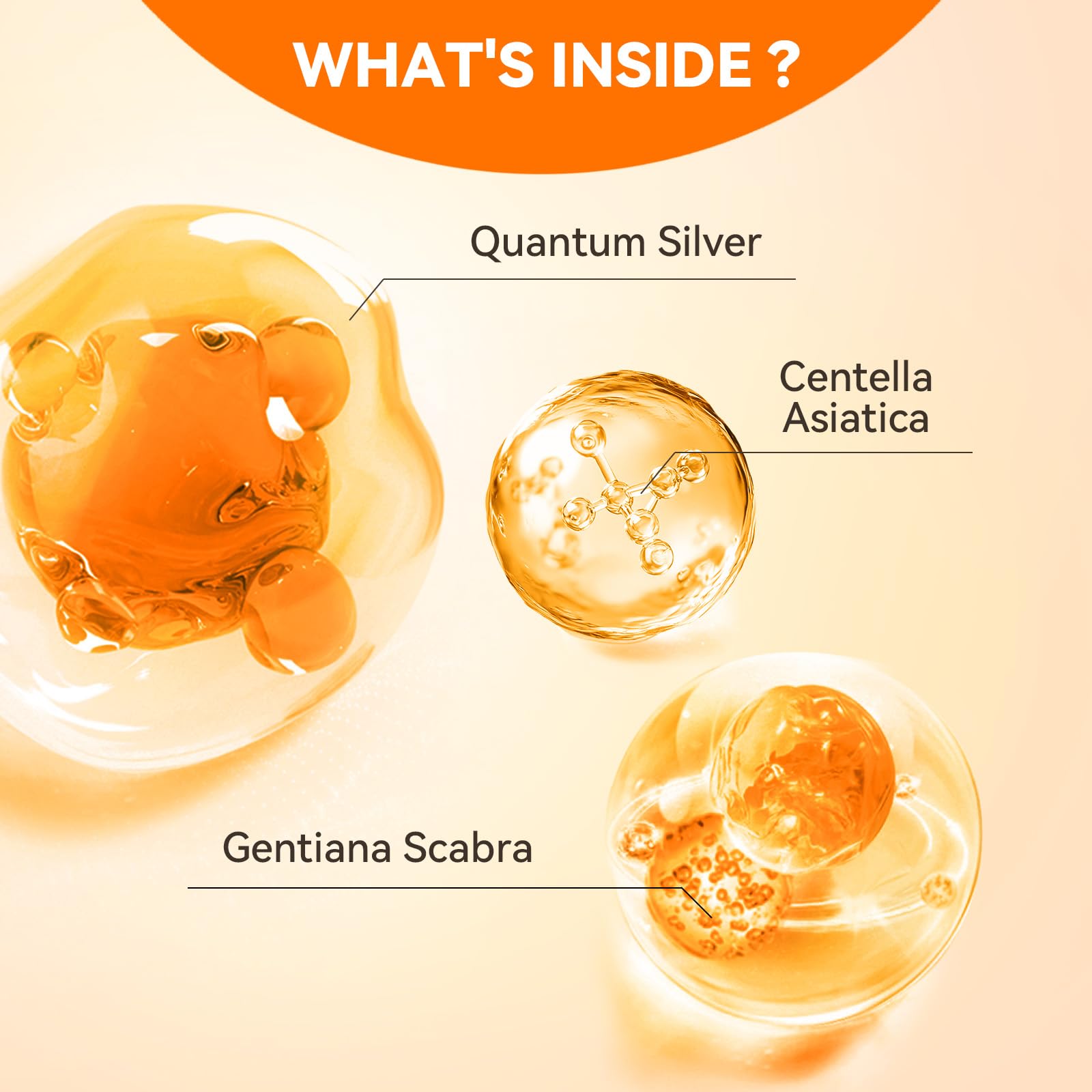 PUAINTA quantum silver formula label suggests advanced skin support.