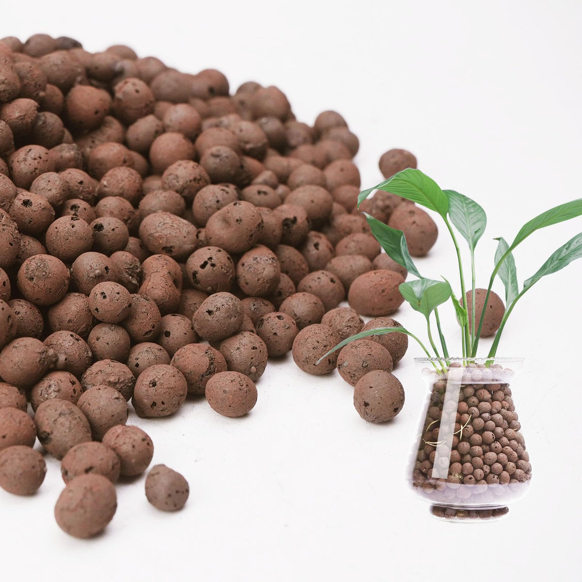 Pulovin LECA 10lbs bag ready for versatile hydroponic planting