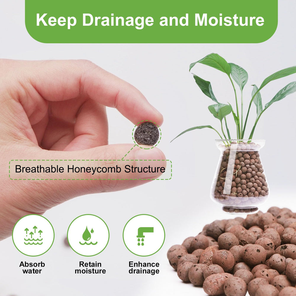 Aquaponics system featuring LECA for water plants