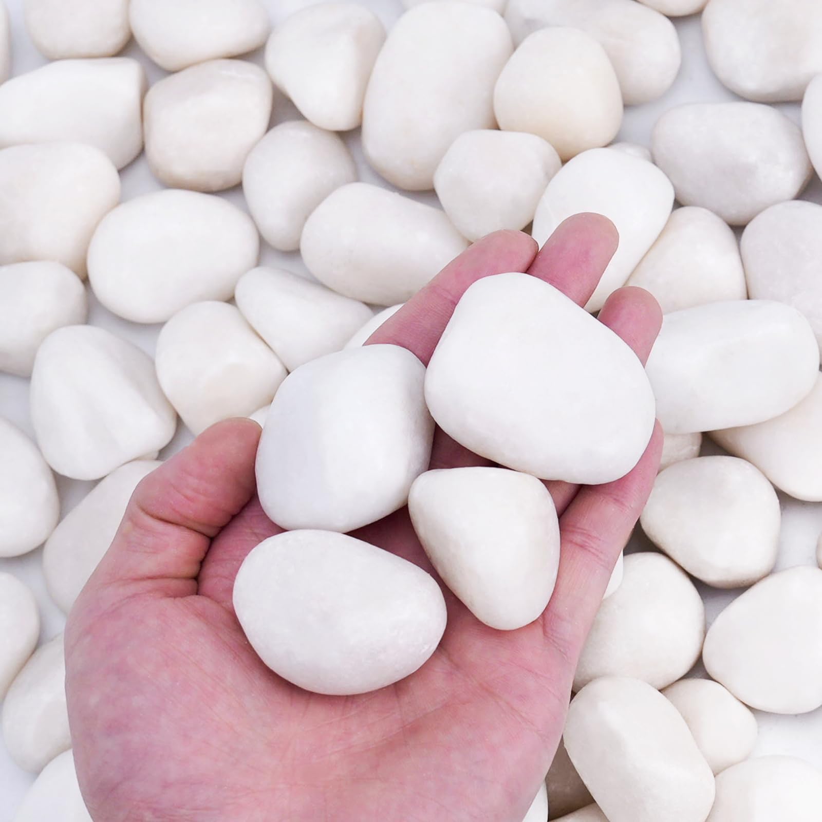 Pulovin white rocks 1-2 inch for garden beds add clean decorative charm.