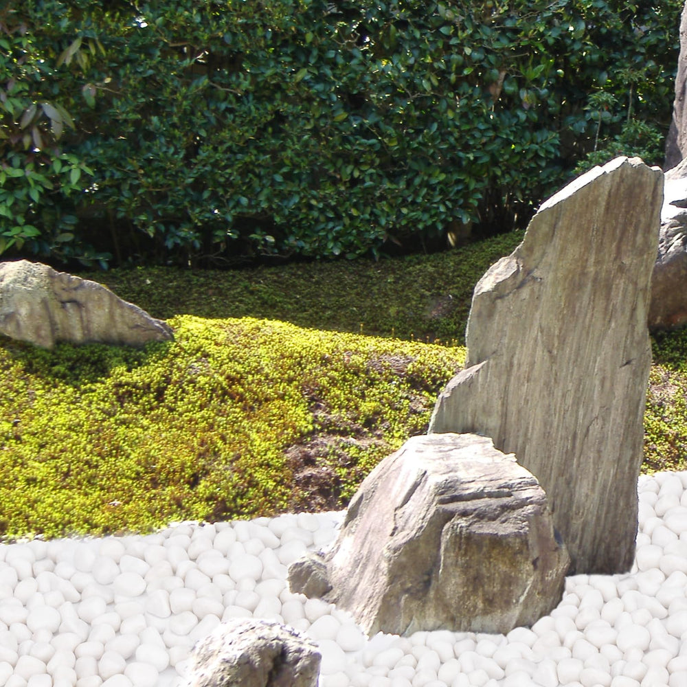 Pulovin white rocks craft decor stone ideal for DIY projects.