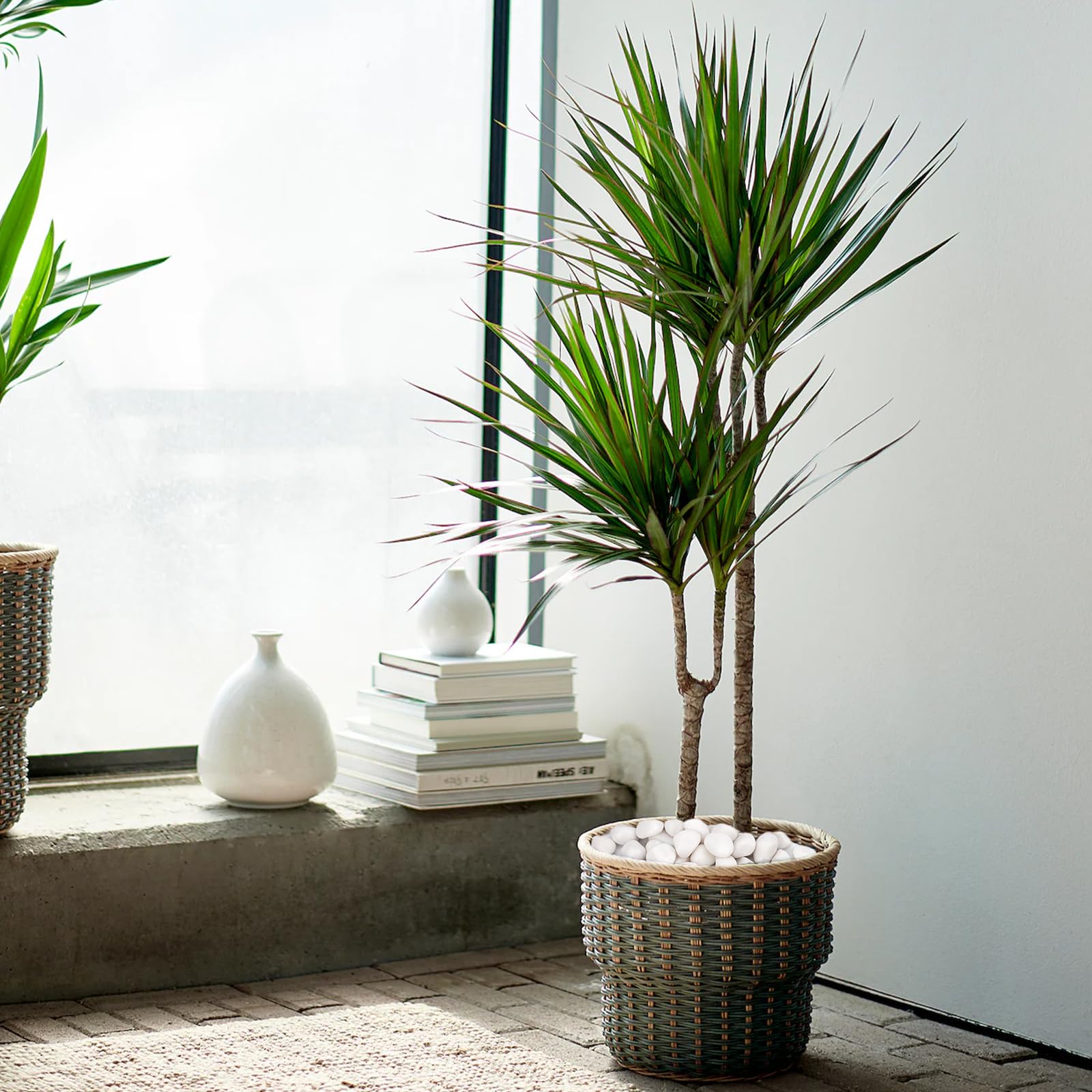 Pulovin white rocks planter accents create clean container displays.