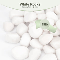 Pulovin polished white rocks close up showing smooth surface and bright finish.