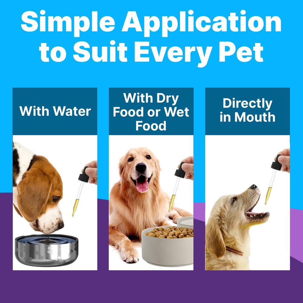 Pup Labs Freedom Joint Drops helping a dog run and play more comfortably.