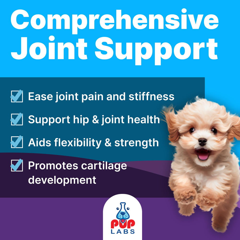 Pup Labs Freedom Joint Drops liquid texture appears smooth and odorless.