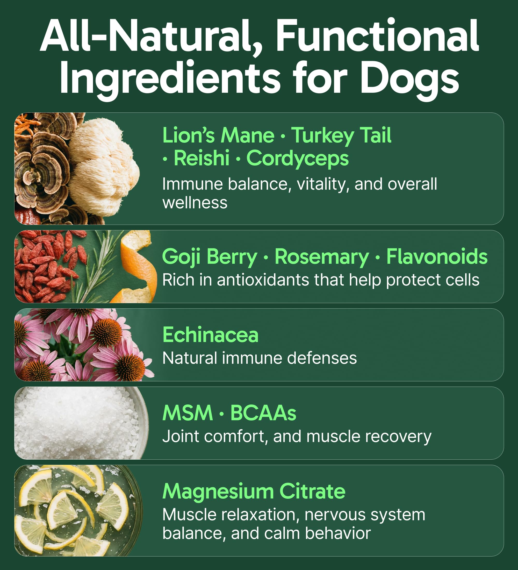 Pup Labs K9 Immune close-up powder texture for meals and energy