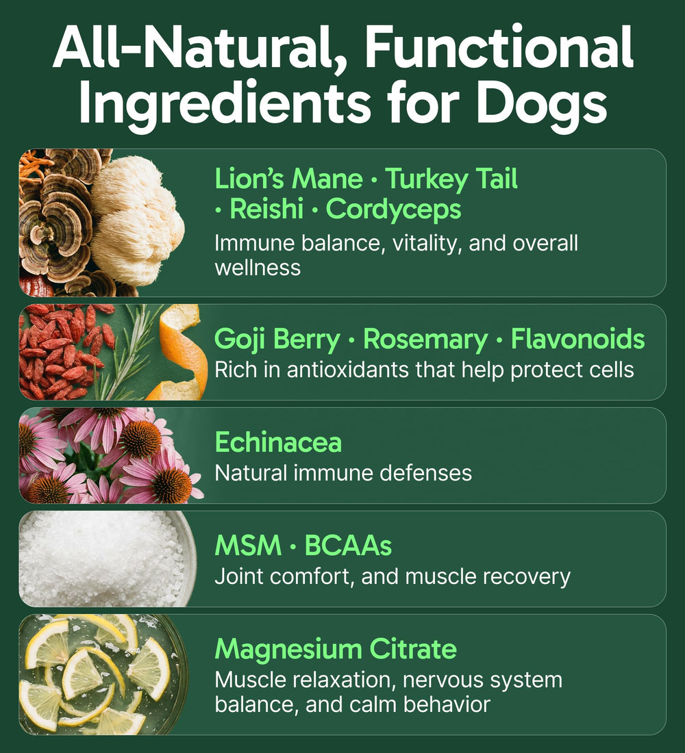 Pup Labs K9 Immune close-up powder texture for meals and energy