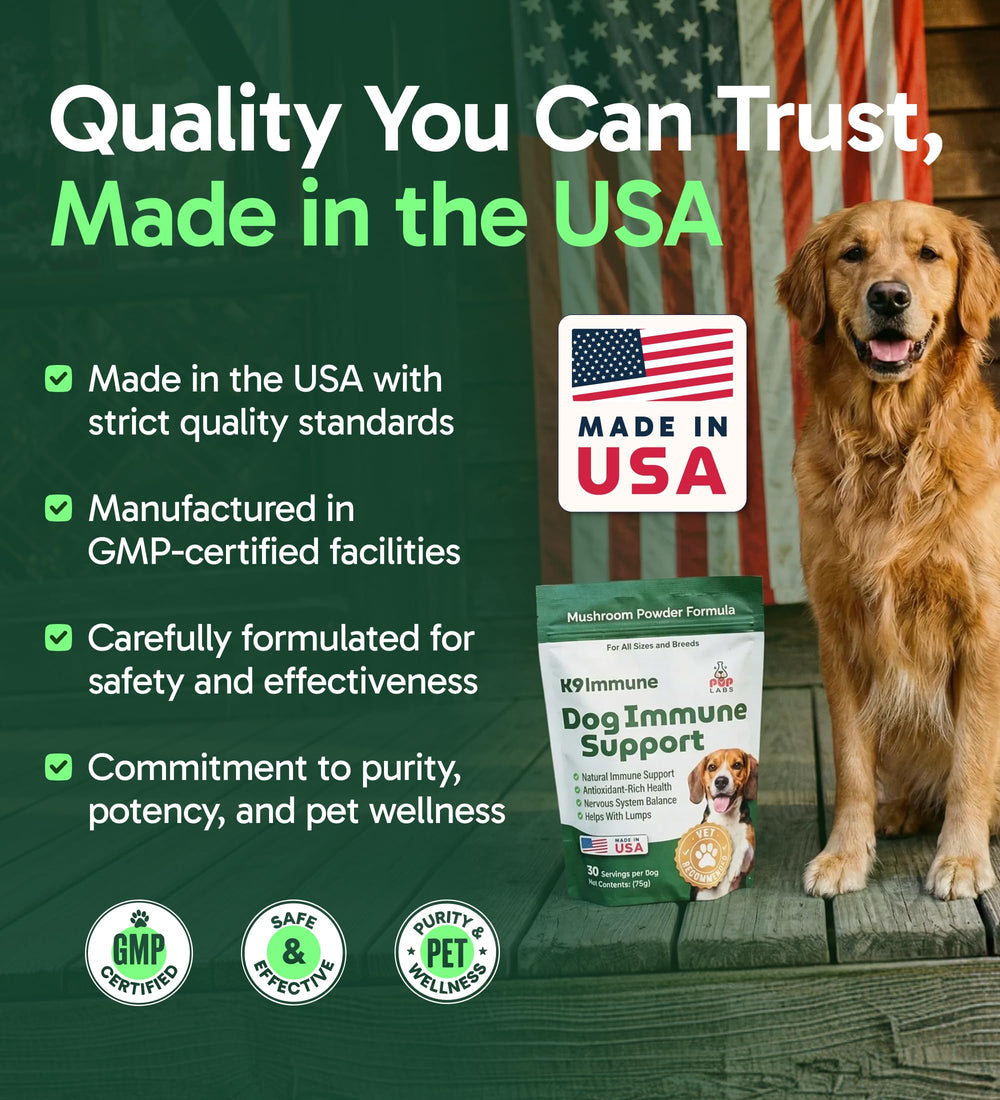 Pup Labs K9 Immune mushroom-botanicals blend on kitchen counter supports daily wellness