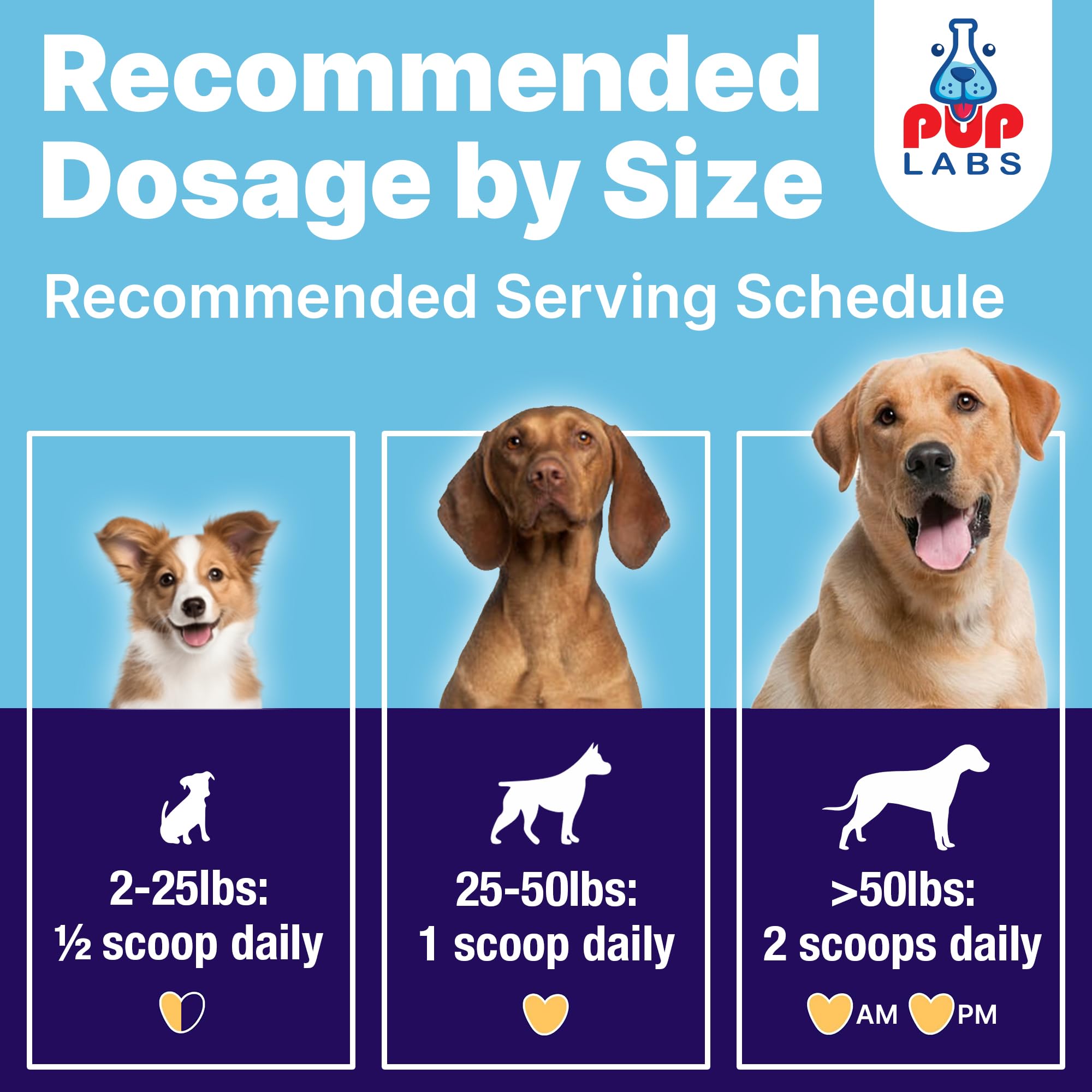 Morning and evening servings shown for daily dental care routine