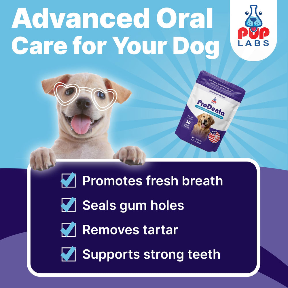 Scoop dispense action showing convenient daily dosing for dogs