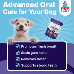 Scoop dispense action showing convenient daily dosing for dogs