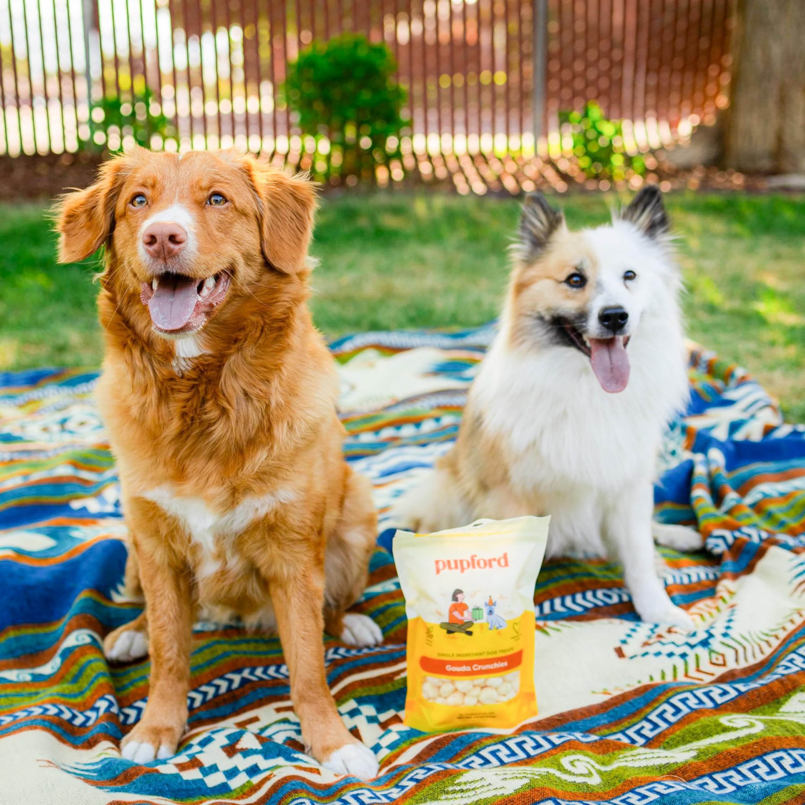 Pupford Cheese Crunchies training treat image demonstrates bite-sized portion ideal for quick rewards.