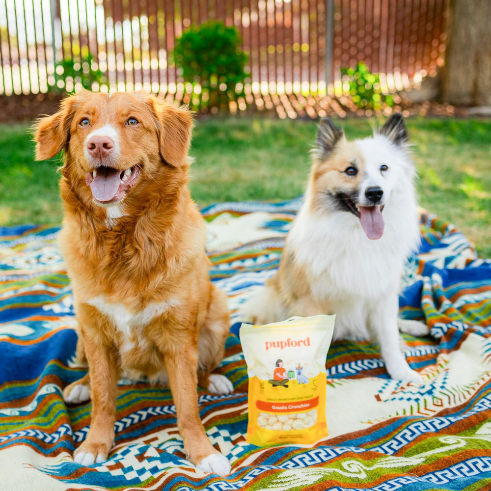 Pupford Cheese Crunchies training treat image demonstrates bite-sized portion ideal for quick rewards.