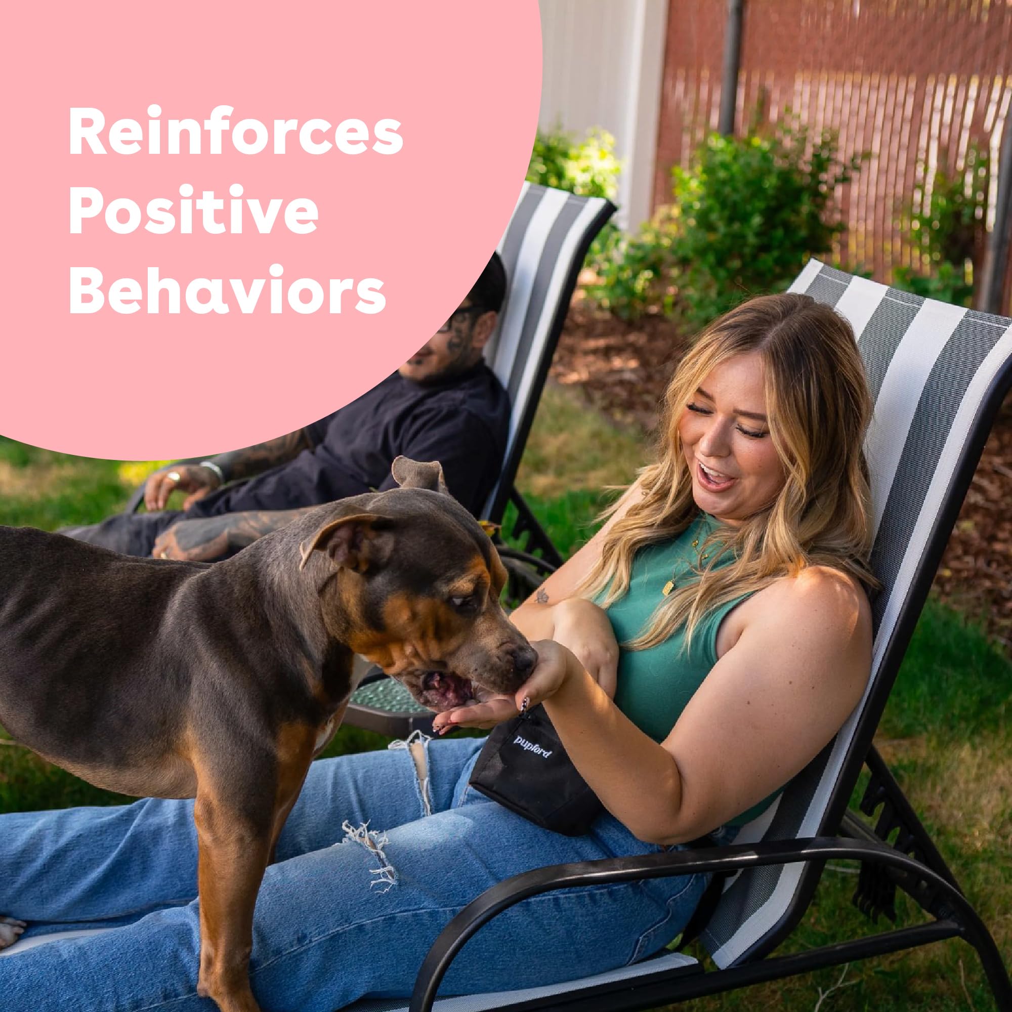 Pupford freeze-dried salmon treats shown in a clear pouch for on-the-go training.