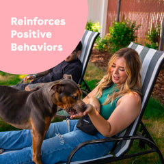 Pupford freeze-dried salmon treats shown in a clear pouch for on-the-go training.