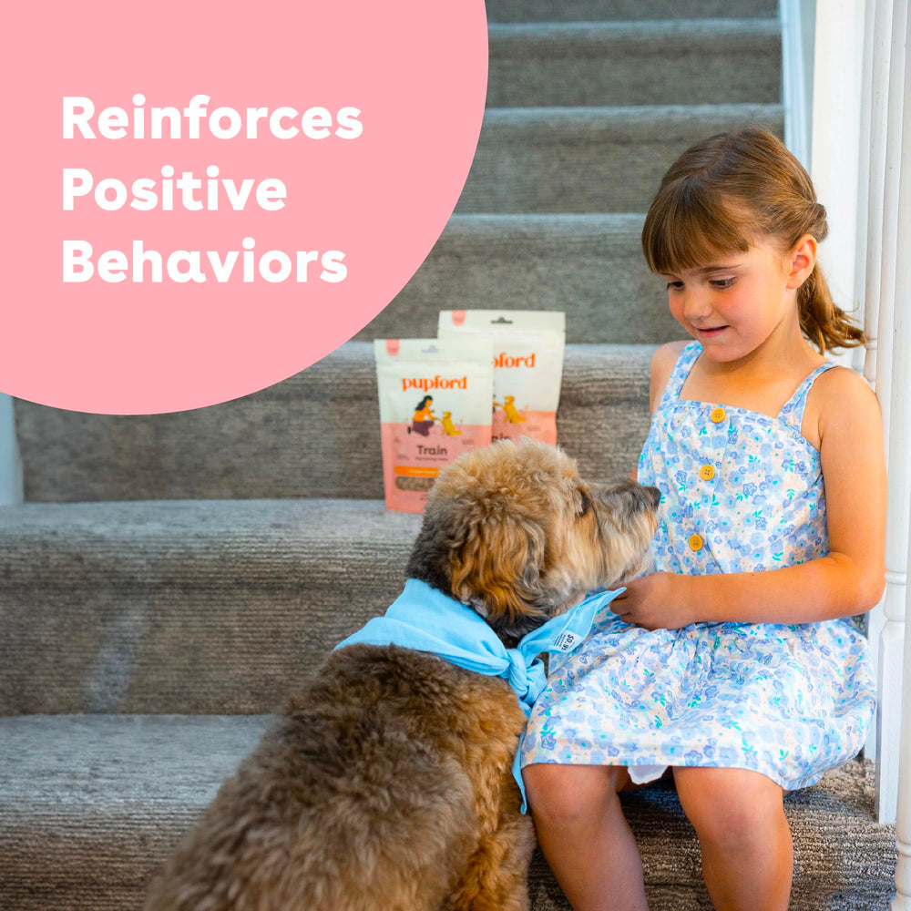 Pupford small-bite training treats ideal for quick rewards during workouts.