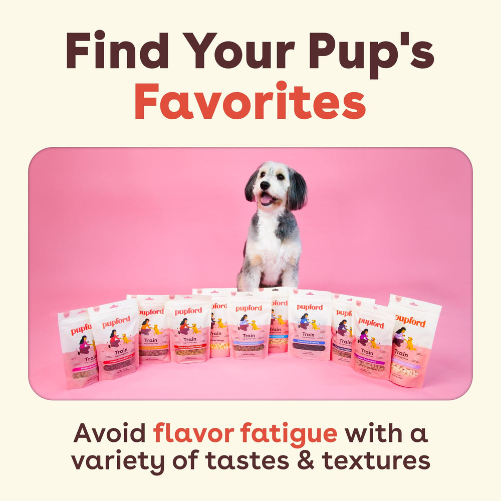 Dog receives Pupford treats during a short outdoor walk.