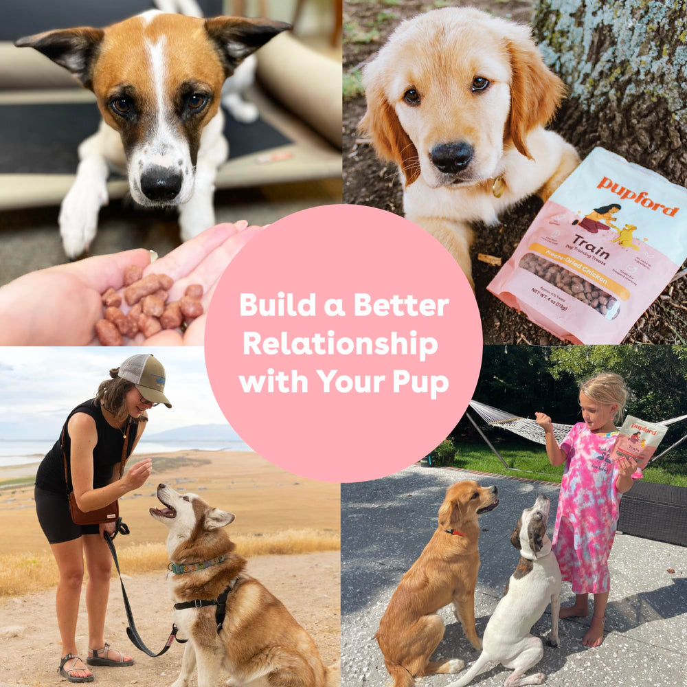 Pupford two-ingredient treats with simple ingredients for mindful snacking.