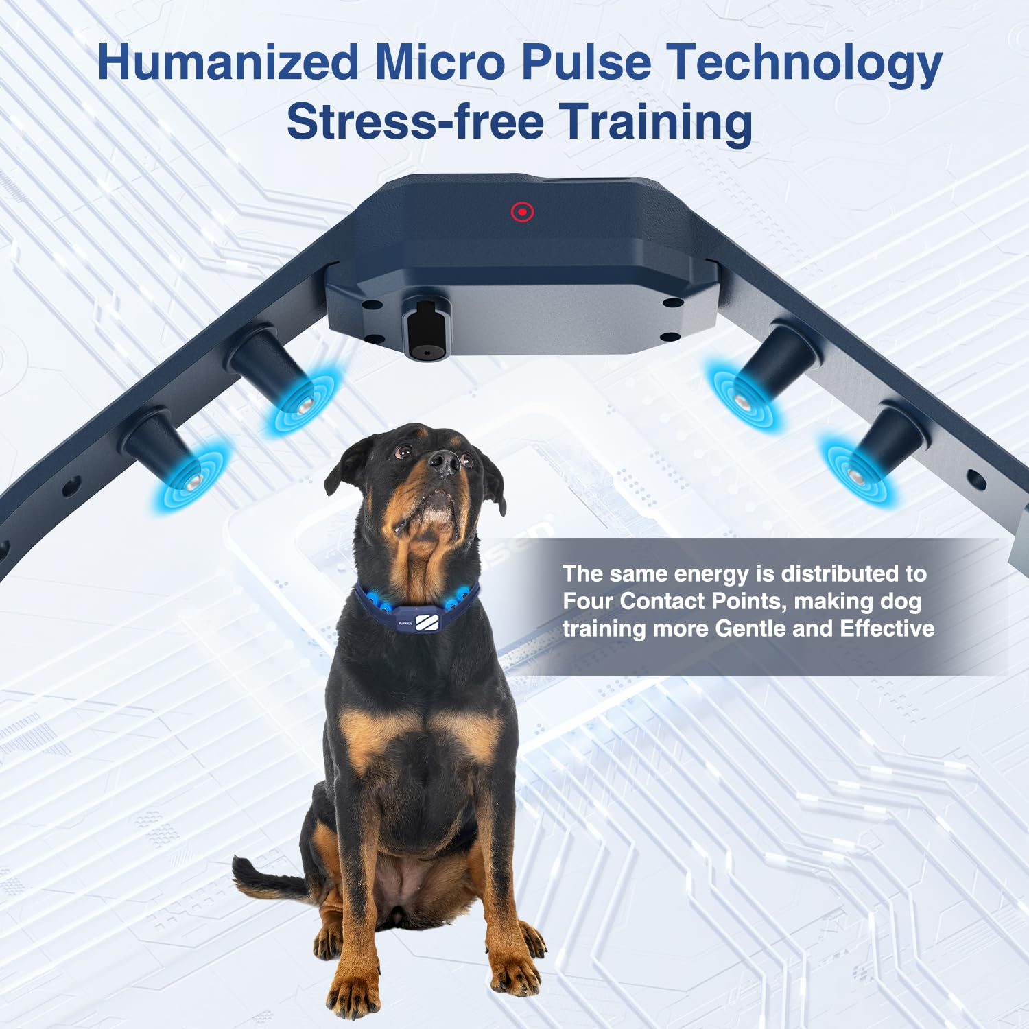 PUPKIDS training modes include tone, vibration, and static cues.