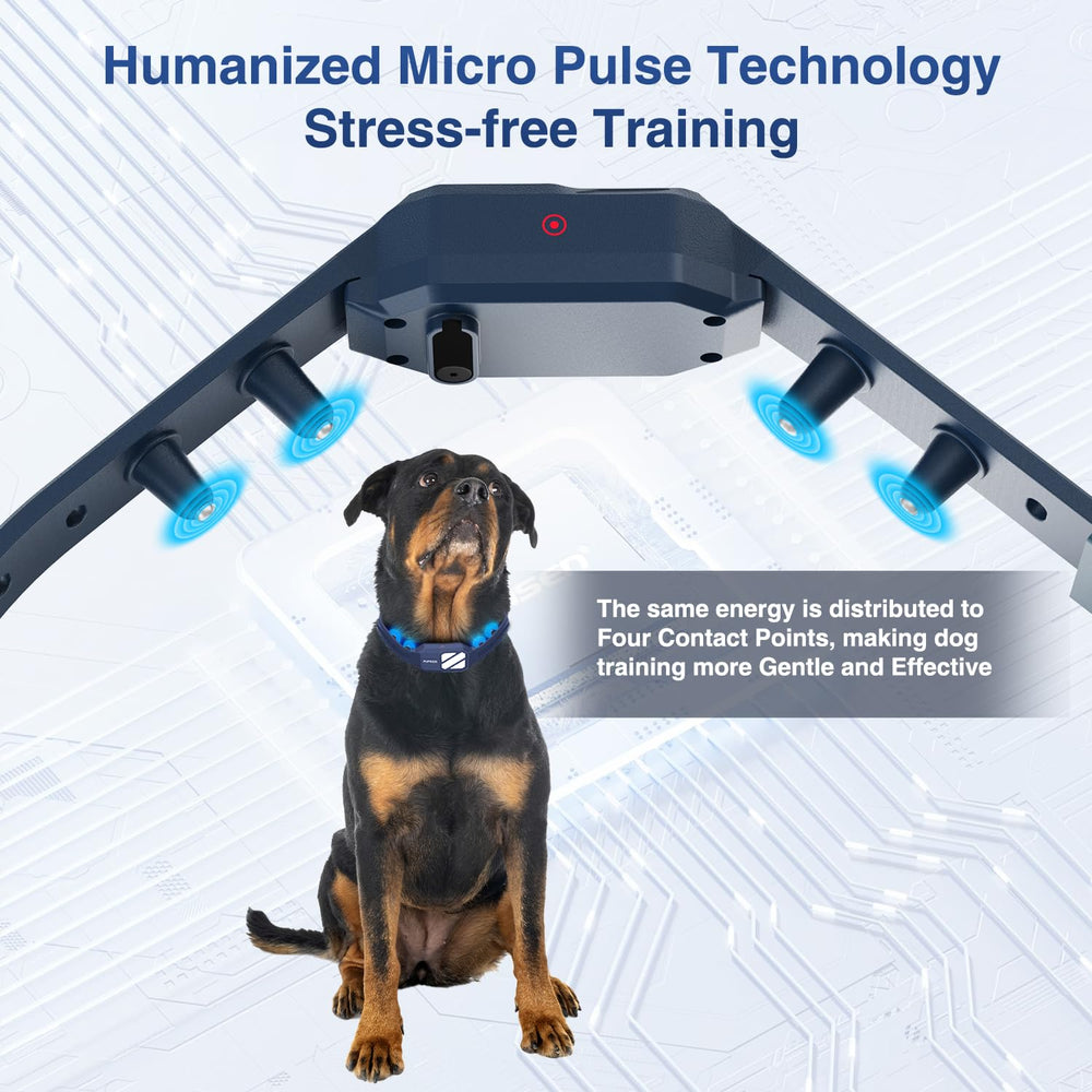 PUPKIDS training modes include tone, vibration, and static cues.