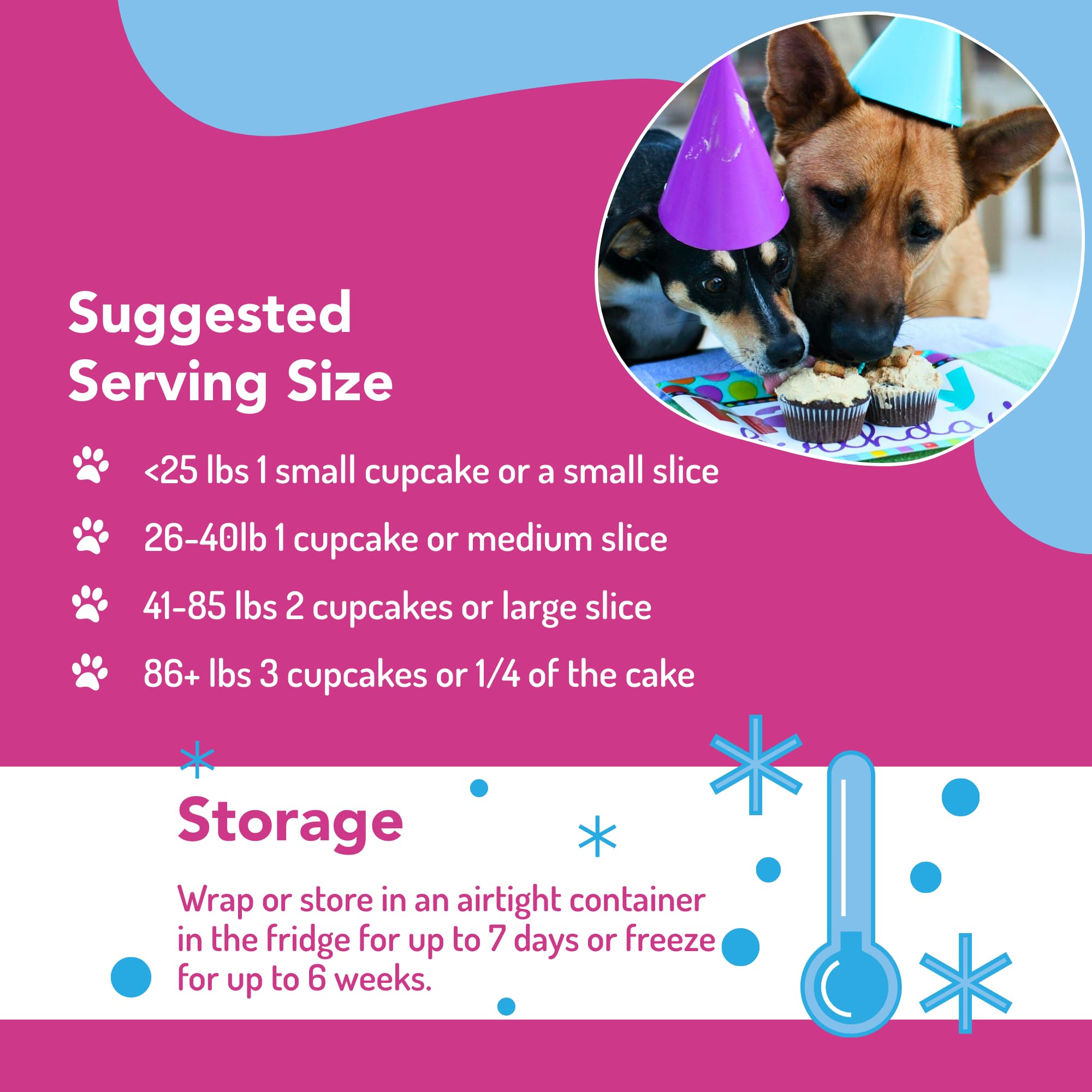 Puppy Cake dog cake served on plate with cheerful paw print.