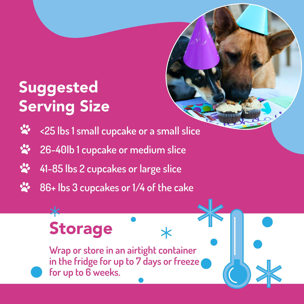 Puppy Cake dog cake served on plate with cheerful paw print.