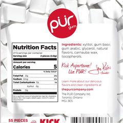 PUR Gum Cinnamon gum piece close-up displaying chewy texture and flavor