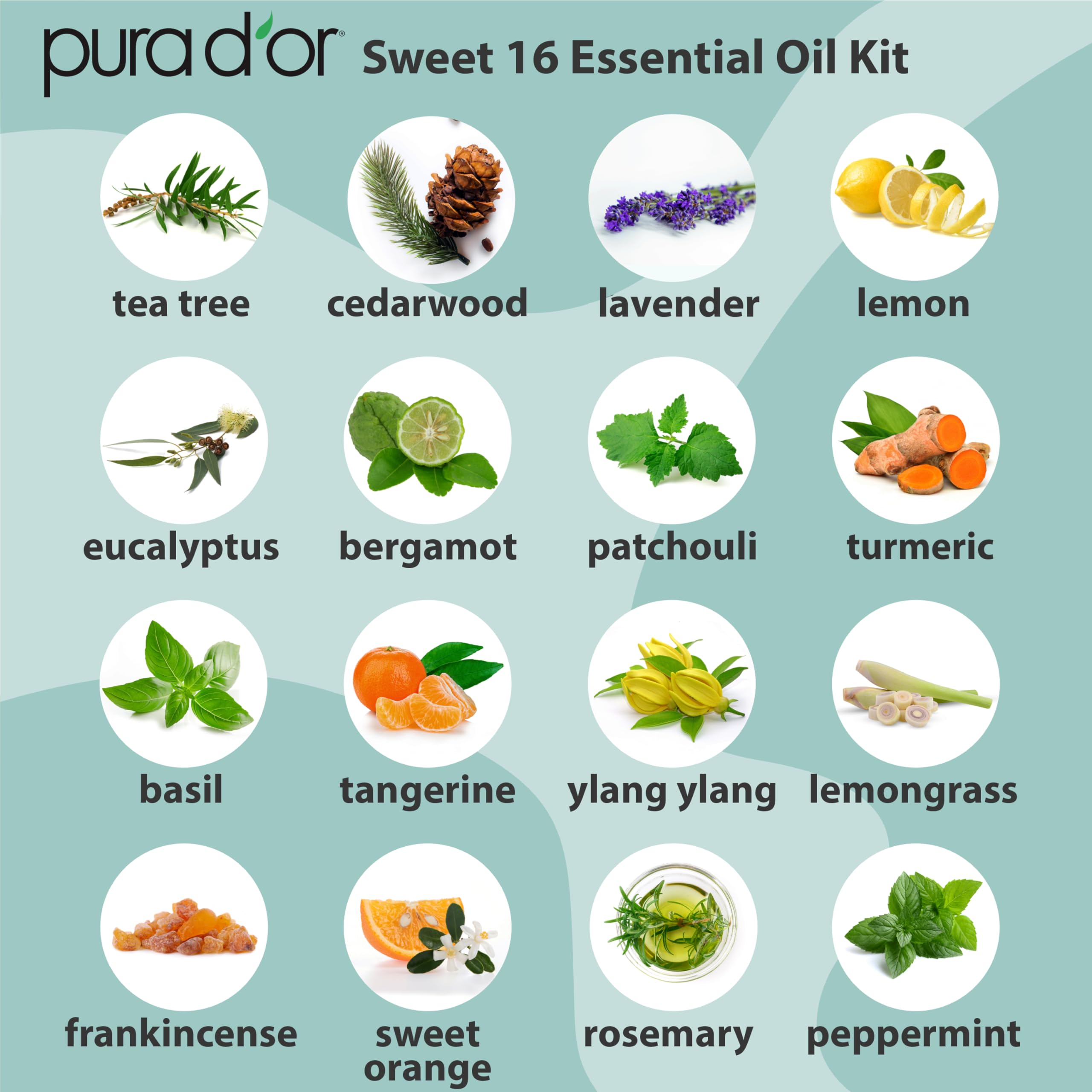 PURA D'OR Sweet16 Tea Tree bottle suitable for natural cleaning and DIY recipes.