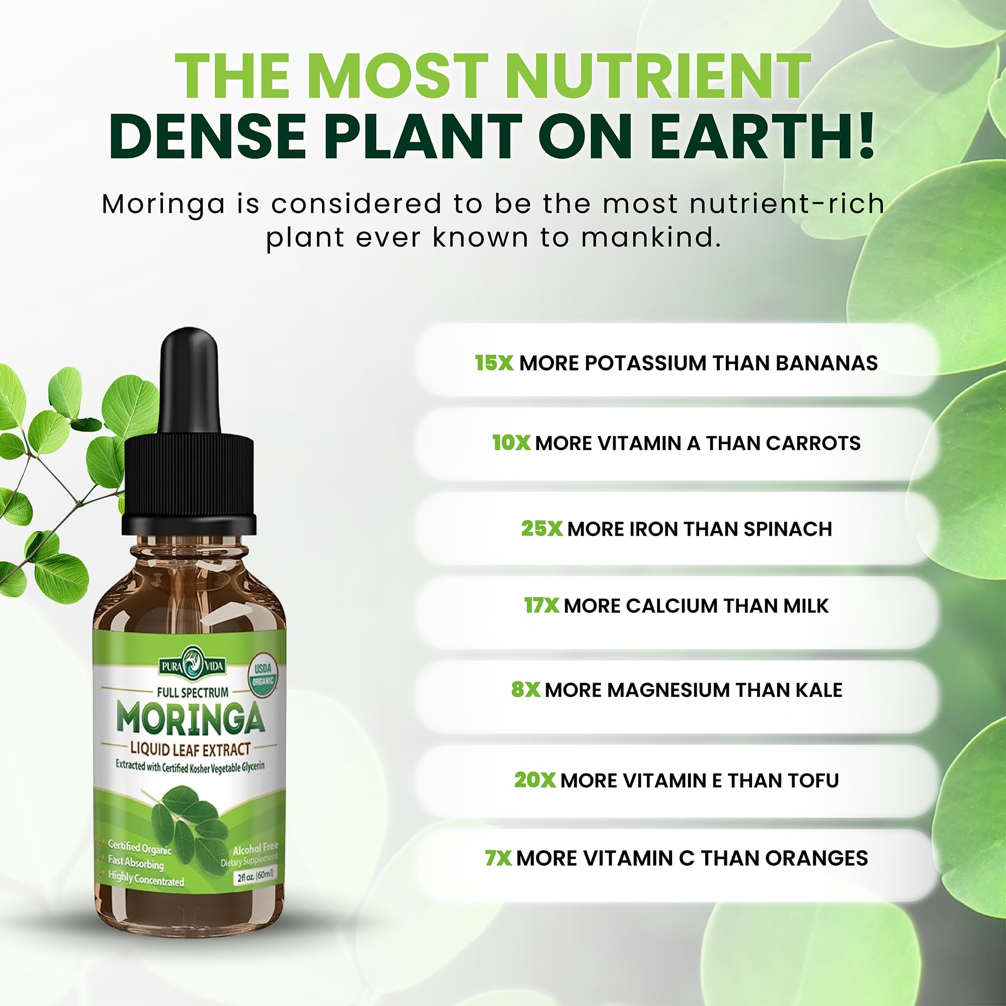PURA VIDA Pure Moringa Leaf Extract with rich nutrient profile