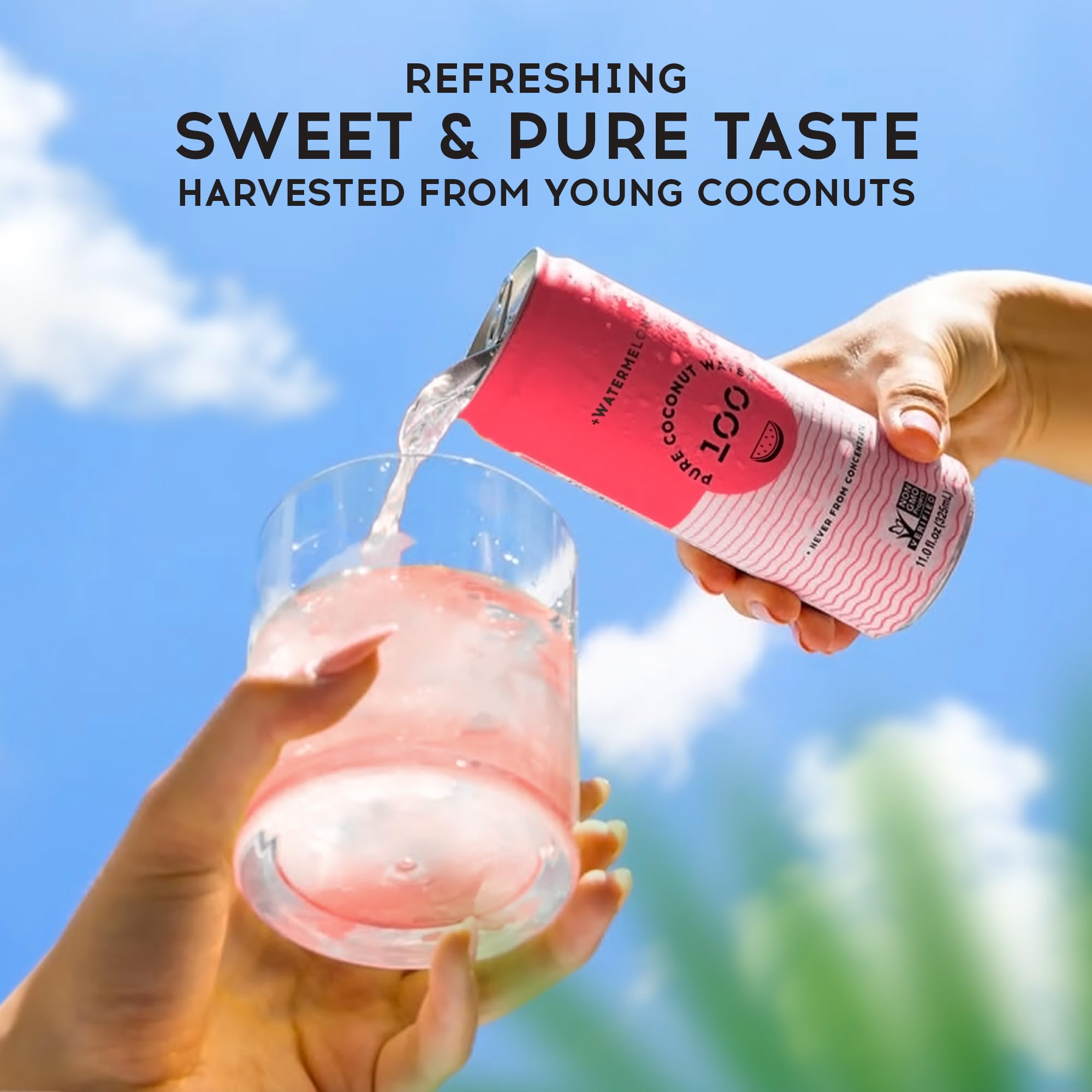 Pure Coconut Water 100 Watermelon serving with friends, versatile thirst-quencher.