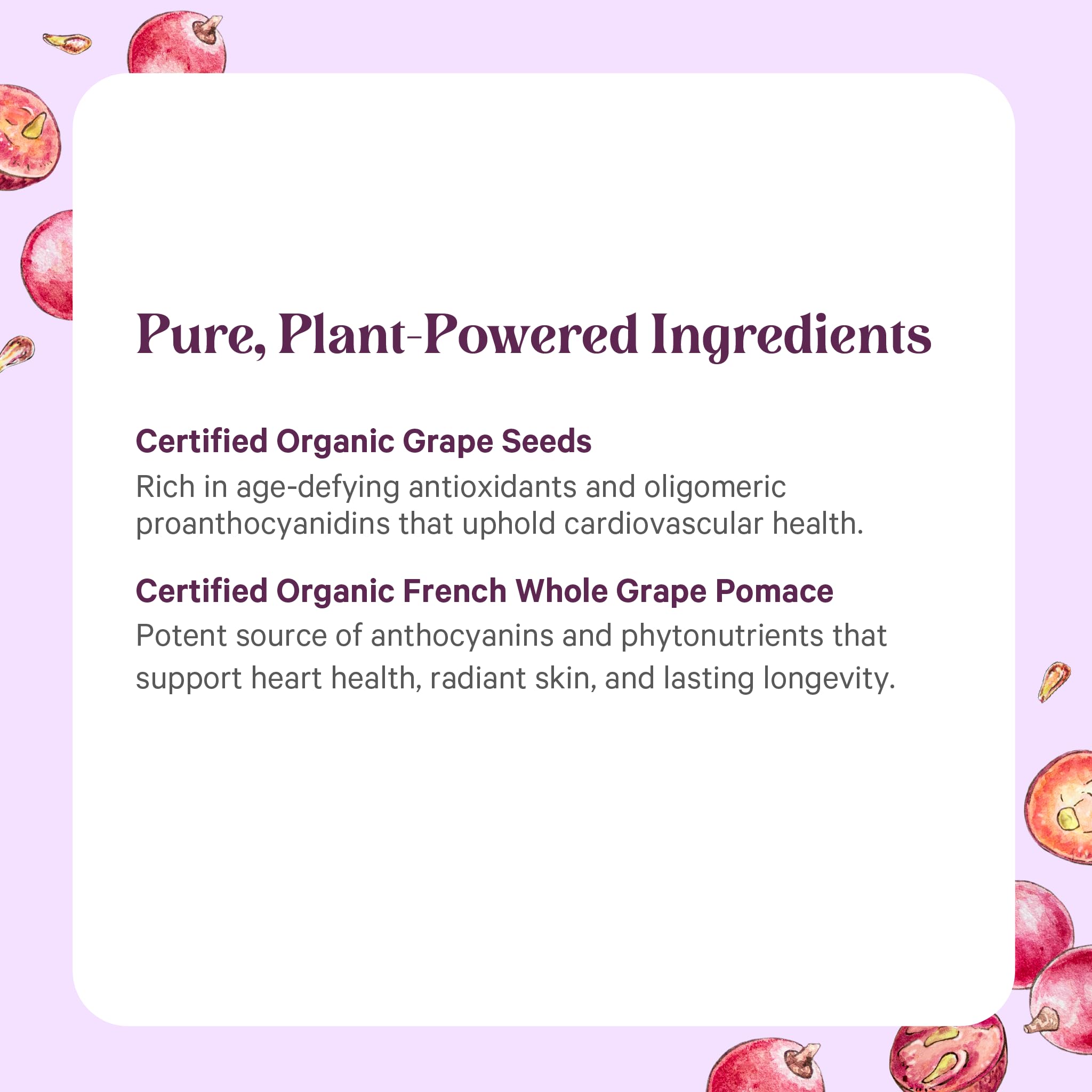Pure Synergy grape seed extract with fresh grapes to emphasize organic sourcing