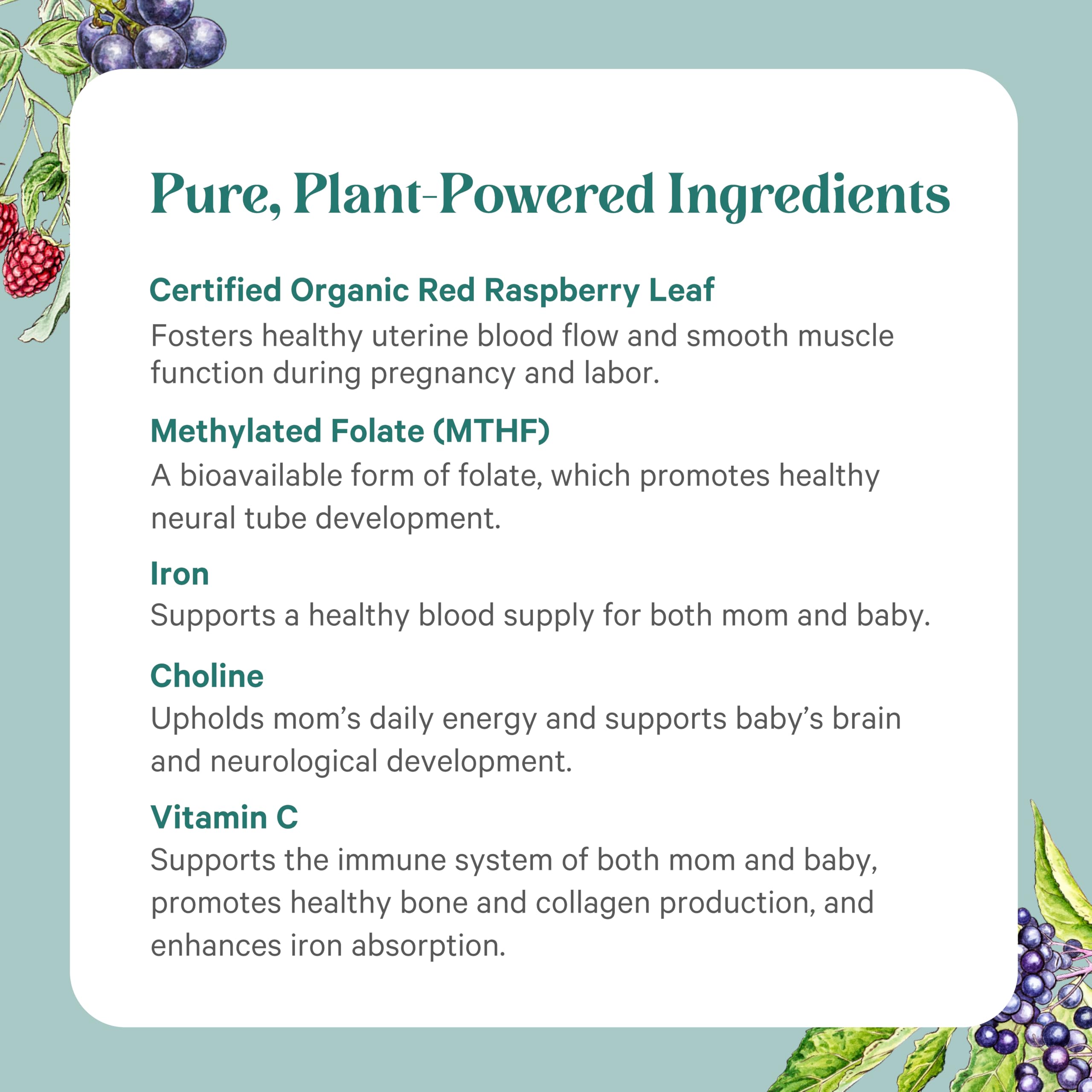 Lifestyle shot of Pure Synergy Purenatal for preconception to breastfeeding routines